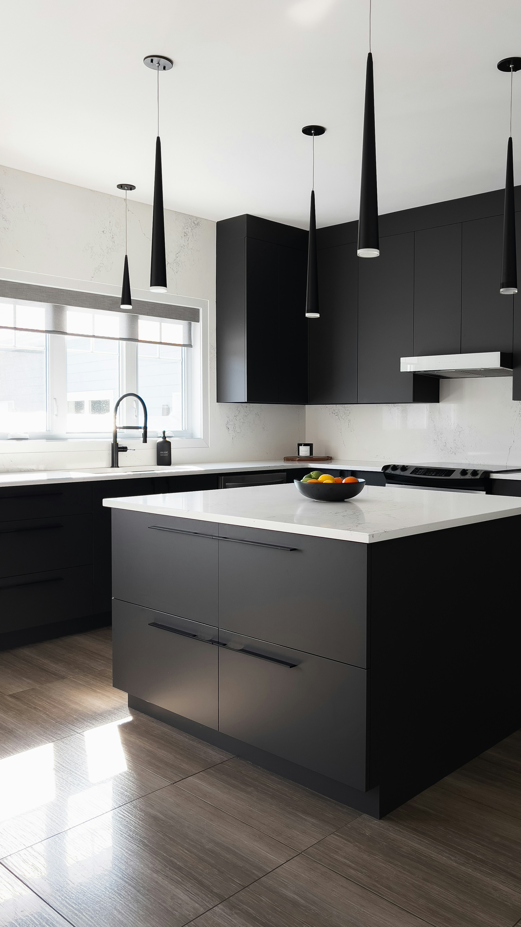 Black and white contemporary remodeled kitchen
